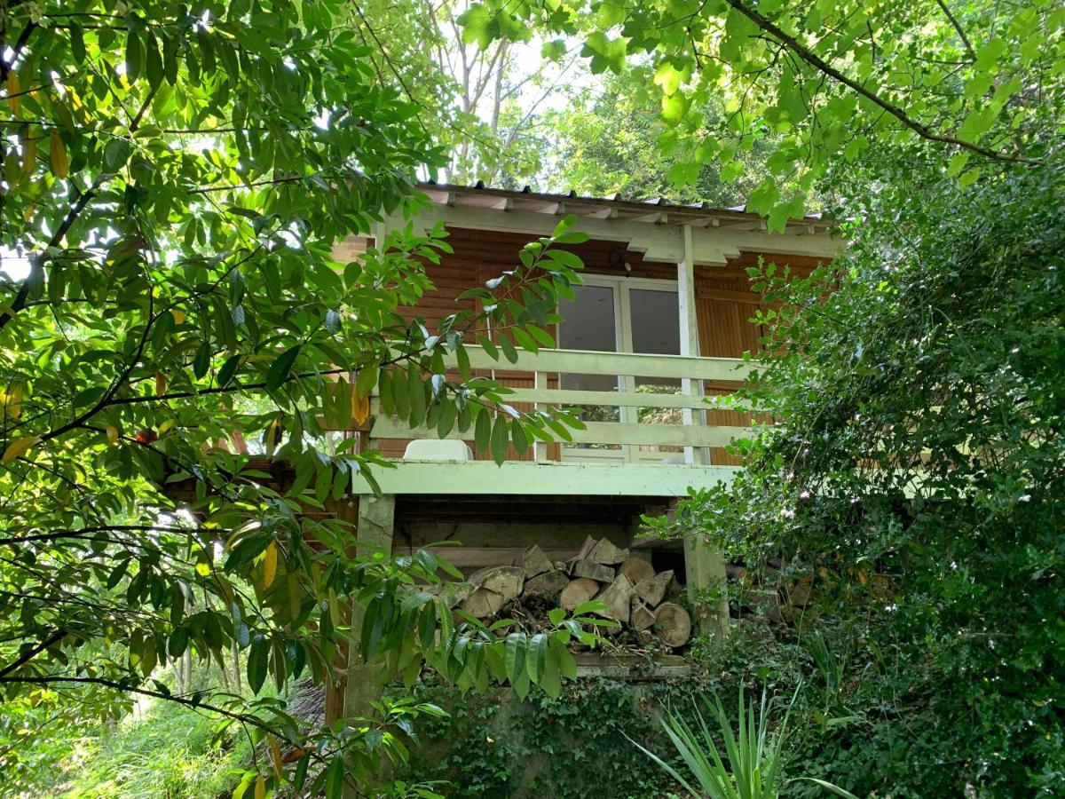 Chalet En Bord De Seine Villa Le Coudray-Montceaux Eksteriør billede